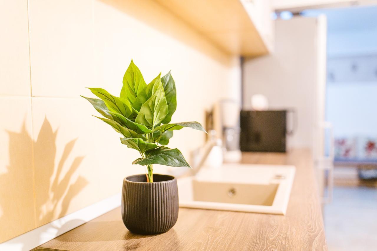Apartament Maria 알바루리아 외부 사진